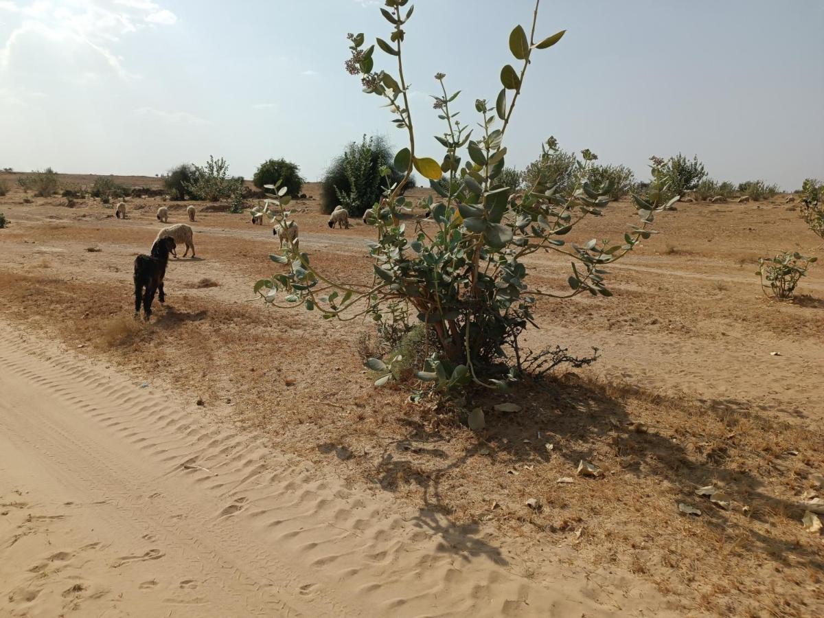 Hotel Relax Inn Jaisalmer Luaran gambar